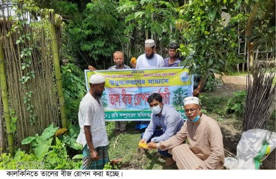 কালকিনিতে বজ্রপাত ঠেকাতে তালের বীজ রোপন কালকিনিতে বজ্রপাত ঠেকাতে তালের বীজ রোপন